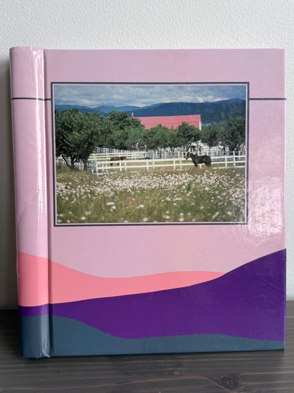Vintage photo album / sticker book